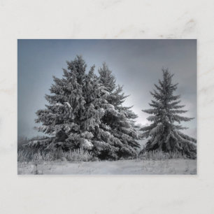 In de winter briefkaart