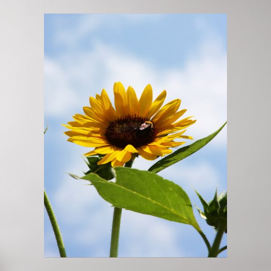 In de wolken poster (Voorkant)