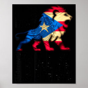 In dna puerto rico rikaanse vlag trots in brullend poster
