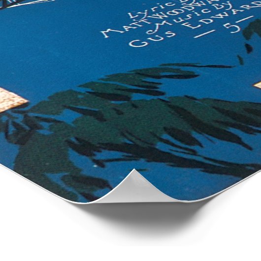 In een Hoesje van het vliegtuig Poster (Hoek)