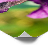 In een iris poster (Hoek)