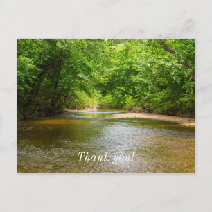 In een kreek briefkaart