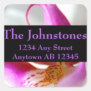 In een wit orchidee weddenschap retourneert label