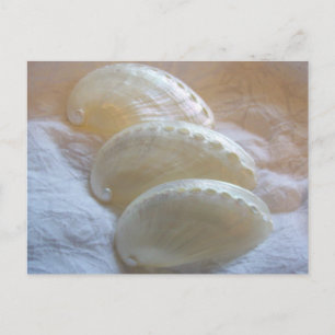 In elke fijne draai briefkaart