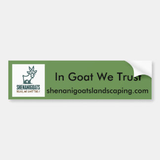 IN geit we vertrouwen bumpersticker