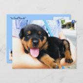 In goede handen briefkaart (Voorkant / Achterkant)