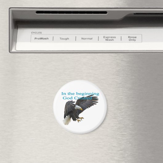 In het begin magneet (Insitu (Vaatwasser))