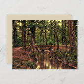 In het bos briefkaart (Voorkant / Achterkant)