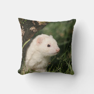 In het bos. Ferret Kussen