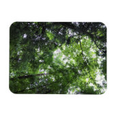 In het bos lopen, Chester, South Carolina Can Magneet (Horizontaal)