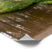 In het bos na de regen poster (Hoek)