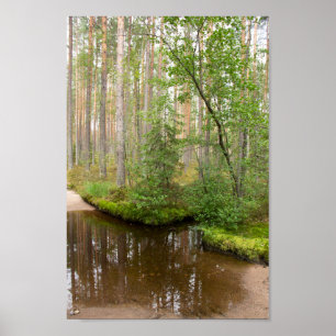 In het bos na de regen poster