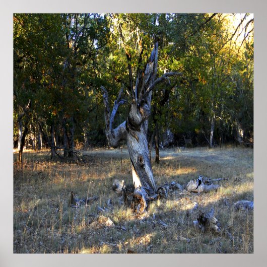 In het bos.... poster (Voorkant)