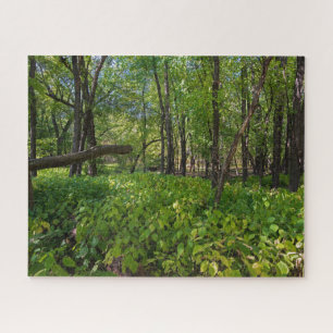 in het bos van fort snelling state park legpuzzel