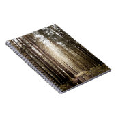 IN HET BOSTER NOTITIEBOEK (Rechterzijde)
