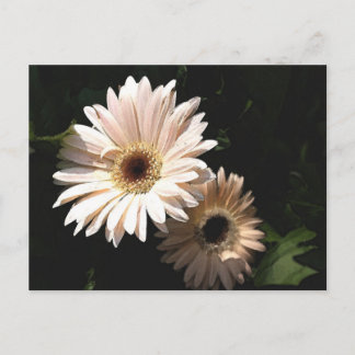 In het Briefkaart van de tuin