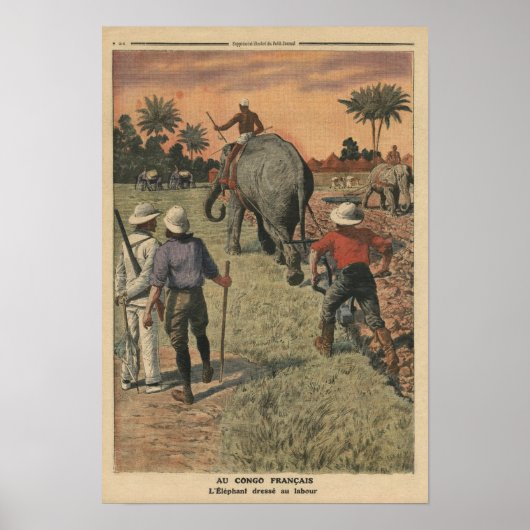 In het Frans Congo heeft olifant getraind om te pl Poster (Voorkant)