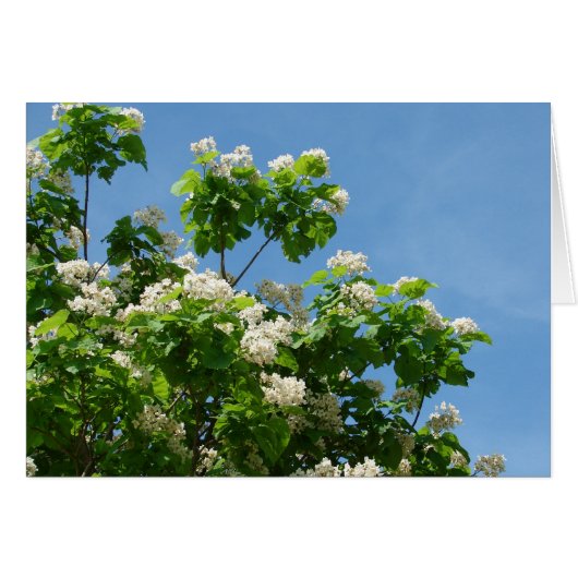 In het geheel (Voorkant Horizontaal)