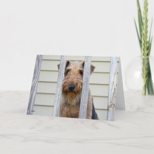"In het hondenhok" Kaart