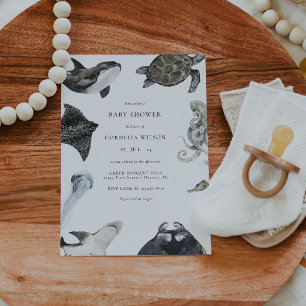 In het kader van de uitnodiging van het Zee tot he