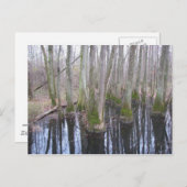 In het land van Makebelieve Briefkaart (Voorkant / Achterkant)