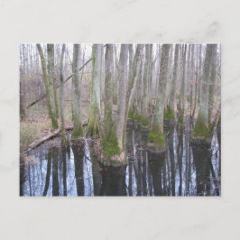 In het land van Makebelieve Briefkaart