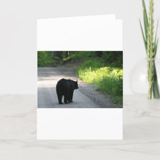 in het licht gaan kaart