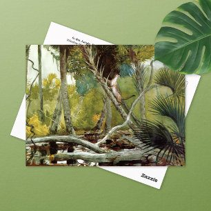 In het Oerwoud Florida Winslow Homer Briefkaart