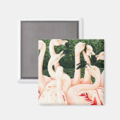 In het roze - Flamingo's Magneet (Voorkant / Achterkant)
