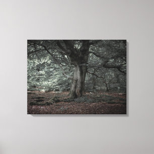 In het sprookjesbos canvas afdruk