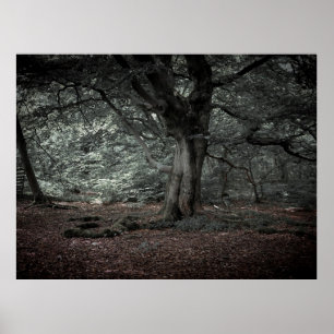 In het sprookjesbos poster