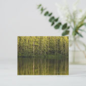 In het water reflecterende bomen briefkaart (Staand voorkant)