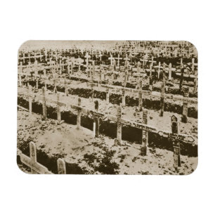 In het Westen niets nieuws: Een Duitse begraafplaa Magneet