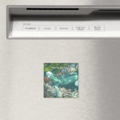 In het wild levende zeeleguaan magneet (Insitu (Vaatwasser))