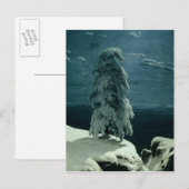 In het wilde noorden, 1891 briefkaart (Voorkant / Achterkant)