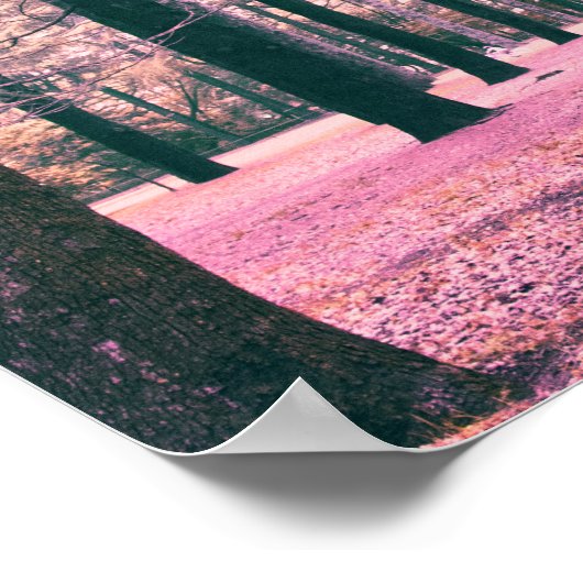 In het Yoyogi Park in Tokio werden bomen gekleurd. Poster (Hoek)