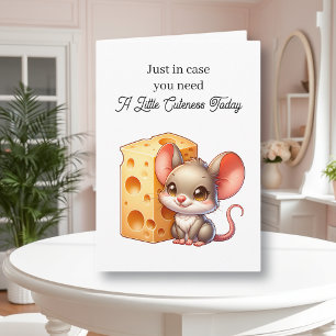 In Hoesje heb je wat schattigheid en een knuffel n Kaart