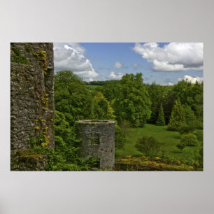 In Ierland, in Blarney Castle, een steentoren in Poster