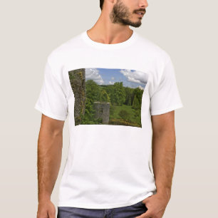 In Ierland, in Blarney Castle, een steentoren in T-shirt