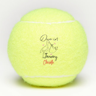 In januari Schattigee zwaan met een grappige nieuw Tennisballen