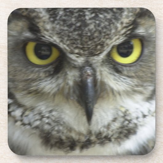 In je gezicht Owl Onderzetter (Voorkant)