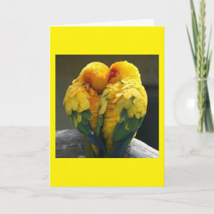 IN "JULLIE" HEB IK MIJN SOULMAAT GEVONDEN. KAART