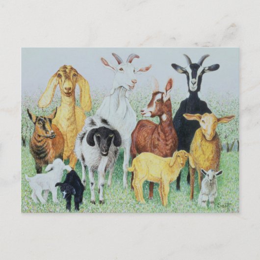 In klaver briefkaart (Voorkant)