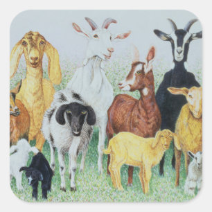 In klaver vierkante sticker