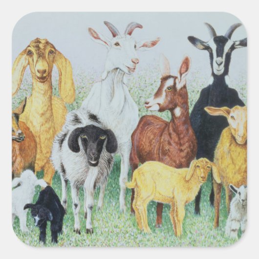 In klaver vierkante sticker (Voorkant)