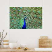 In levendige kleur poster (Keuken)