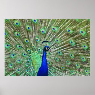 In levendige kleur poster