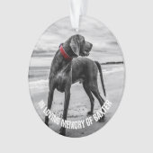 In liefdevolle herinnering | Bewaar het fotomonume Ornament (voorkant)