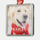 In liefdevolle herinnering Pet Memorial ingelijst Metalen Ornament (Links)