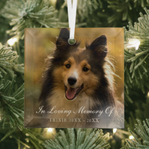 In Looptijd geheugen Elegant Photo Pet Memorial Glas Ornament